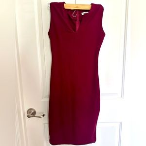 Professional Burgundy Dress